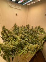 IMG_4658.jpeg