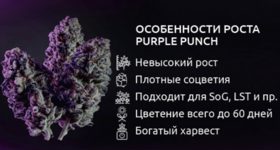 1781708413939.png
