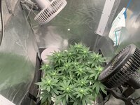 IMG_2830.jpeg