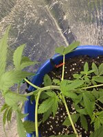 20260622_130418.jpg