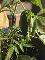20260622_154956.jpg