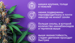 1782219406954.png 1782219406954.png