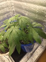 20260625_180651.jpg