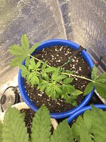 20260625_180639.jpg
