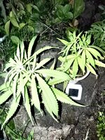 IMG_20260704_124810.jpg
