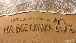 hot-Summer-Strains-630x360__w0tGvuTh4q2Ys3dh.jpg