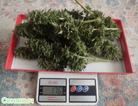 1783513113012.png