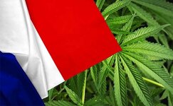 france.jpg france.jpg