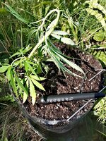 IMG_20260723_135751.jpg