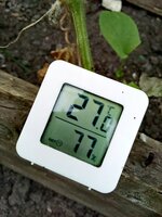 IMG_20260723_134559.jpg