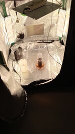 IMG_20260724_175927_675.jpg