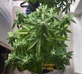 IMG_3353.jpeg