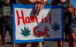 hanf.jpg