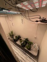 IMG_5229.jpeg
