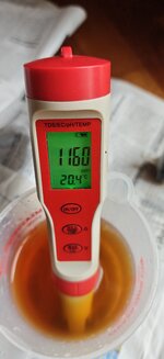 4953.jpg