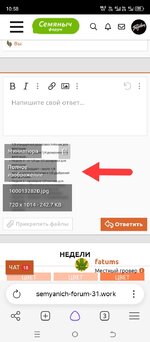 1000132909.jpg