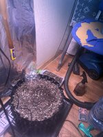 IMG_2945.jpeg