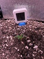 IMG_2959.jpeg