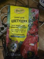IMG_2736.jpeg