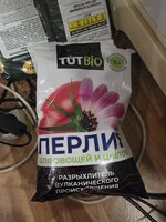 IMG_2737.jpeg
