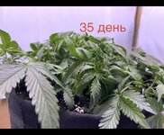 IMG_2695.jpeg