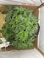 IMG_2708.jpeg