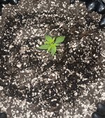IMG_3005.jpeg