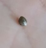 1000018128.jpg