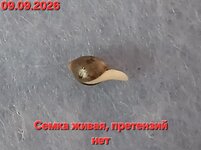 1000018267.jpg
