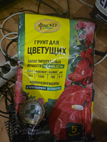 1788974923069.png