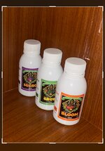 IMG_6910.jpeg