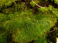 L1040290.JPG