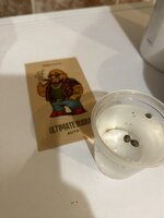 IMG_6752.jpeg