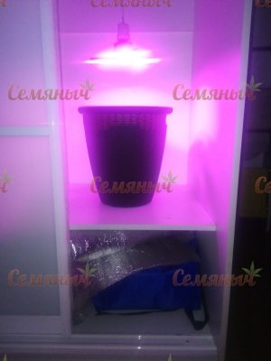41-wm-83591.00000000035_watermarked.jpg