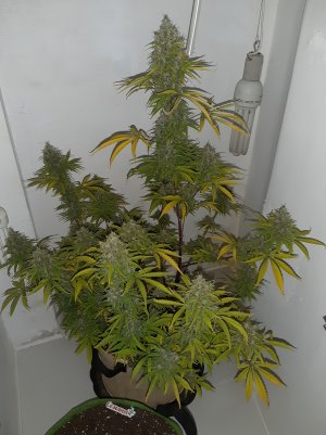 20220620_095632.jpg