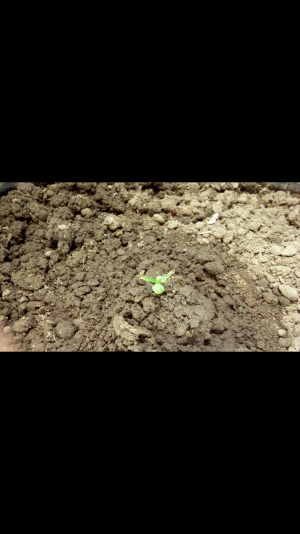 Screenshot_2022-06-20-22-05-59.png