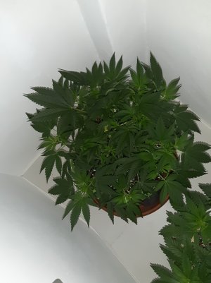 20220625_095642.jpg