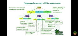IMG_3360.jpeg