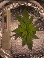 IMG_6931.jpeg