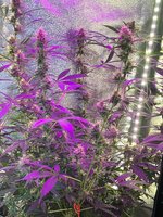 IMG_20260912_113118_982.jpg