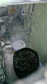 1000133723.jpg