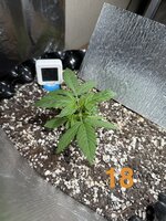 IMG_3032.jpeg