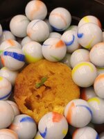 IMG_20260912_185036_493.jpg