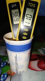 1000133838.jpg