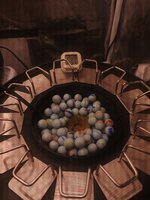 IMG_20260916_064437_492.jpg