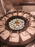 IMG_20260916_064429_864.jpg