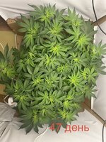 IMG_2830.jpeg