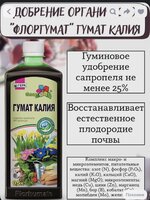 IMG_2841.jpeg