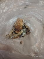 IMG_20260918_180305.jpg