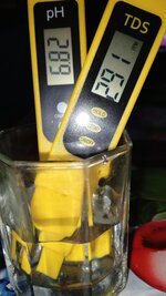 1000133950.jpg
